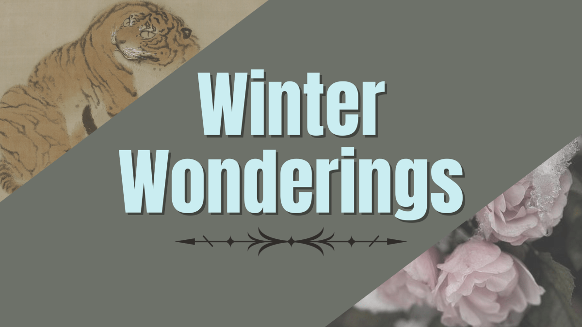 Winter Wonderings
